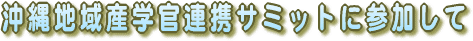 沖縄地域産学官連携サミットに参加して