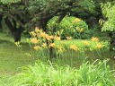 ７月セレクション