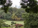 １０月の小石川植物園 H15.10