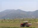 田植えの準備