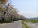 郷愁をそそる白水川の堤の風景