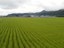 田園と東根温泉