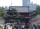 正月の増上寺